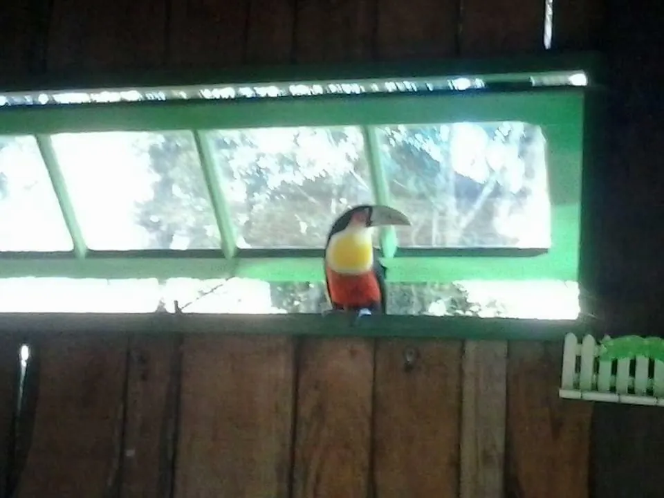 Sitio Do Alemao Hotel Bateias de Baixo Holiday home